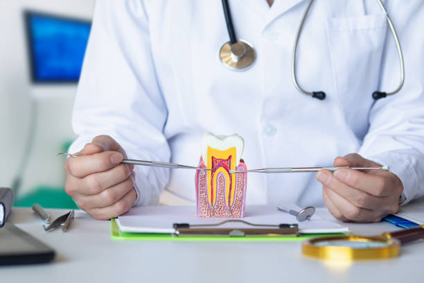 Best Pediatric Emergency Dentist in St Jaco, IL
